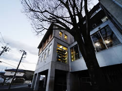 Gallery 4